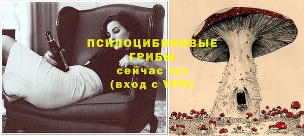 прущая мука Белокуриха